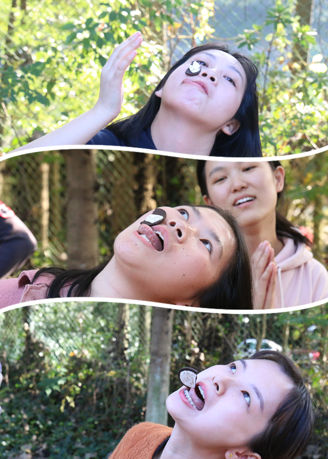 5bd99585549ba.jpg 11.jpg